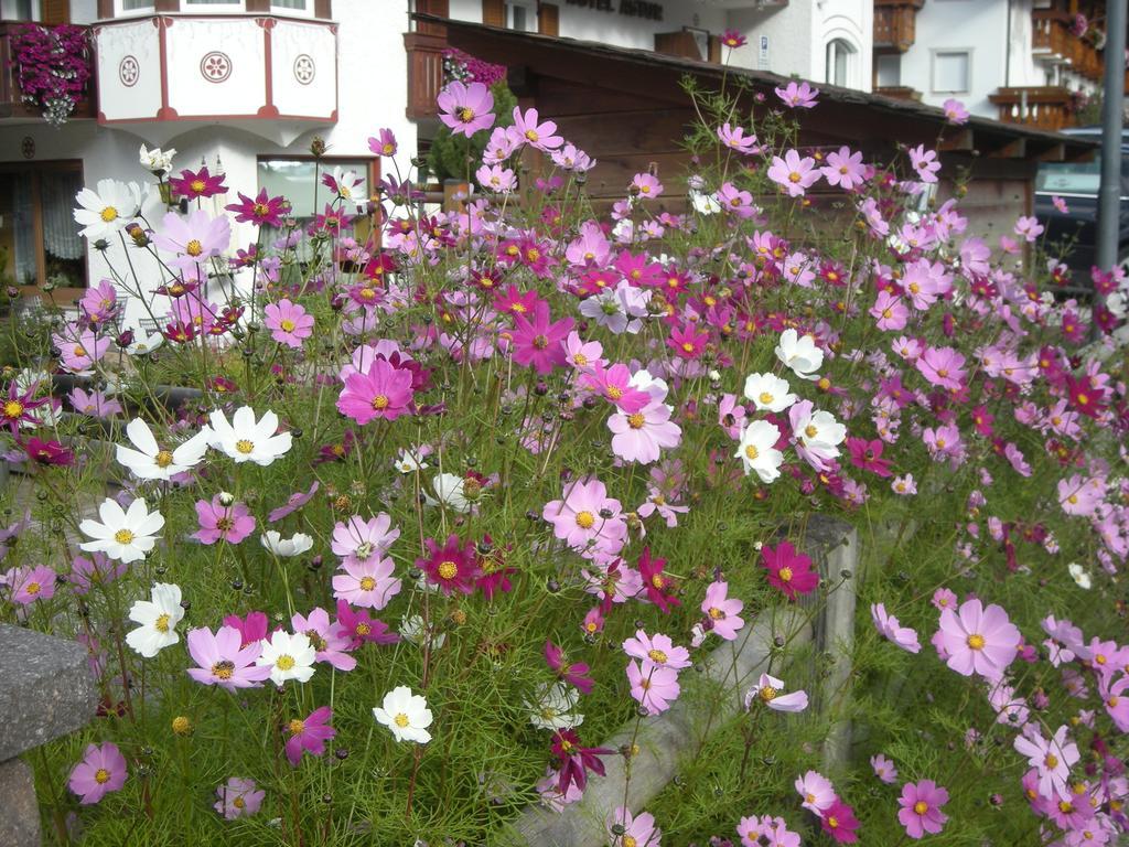 Garni Hotel Rezia Selva di Val Gardena Exterior foto